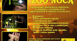 noc_w_zoo