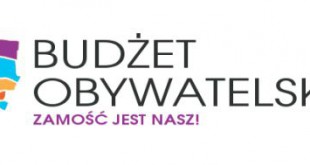 budzet obywatelski